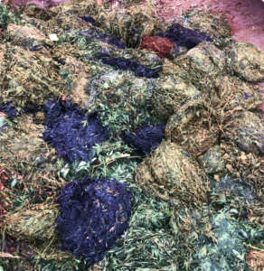 cannabis waste disposal